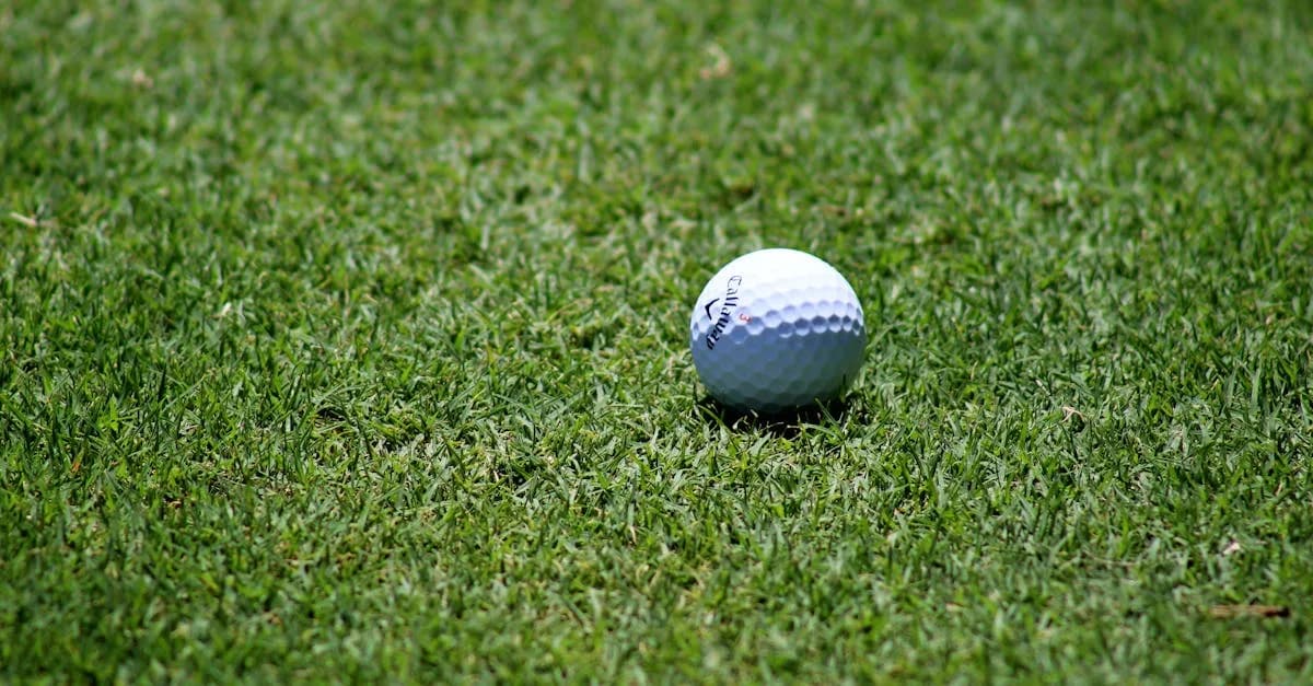 Parkland fairway at Carden Park resort with mature trees and rolling Cheshire countryside near the Welsh border