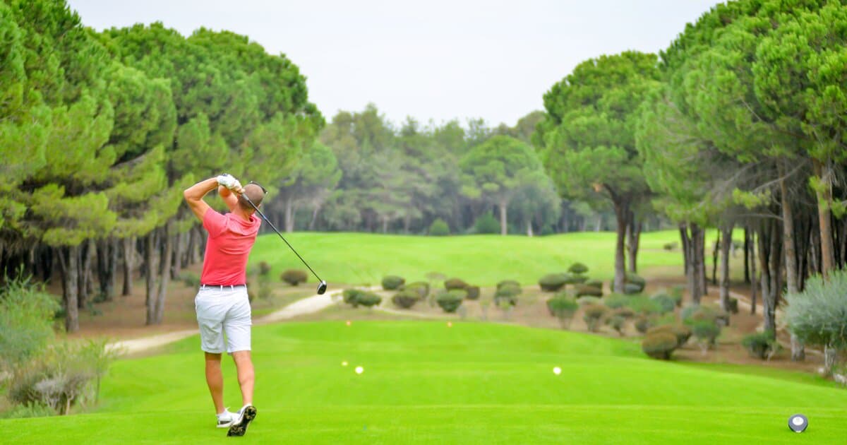 A golfer in follow-through pose looking down a tree-lined fairway
