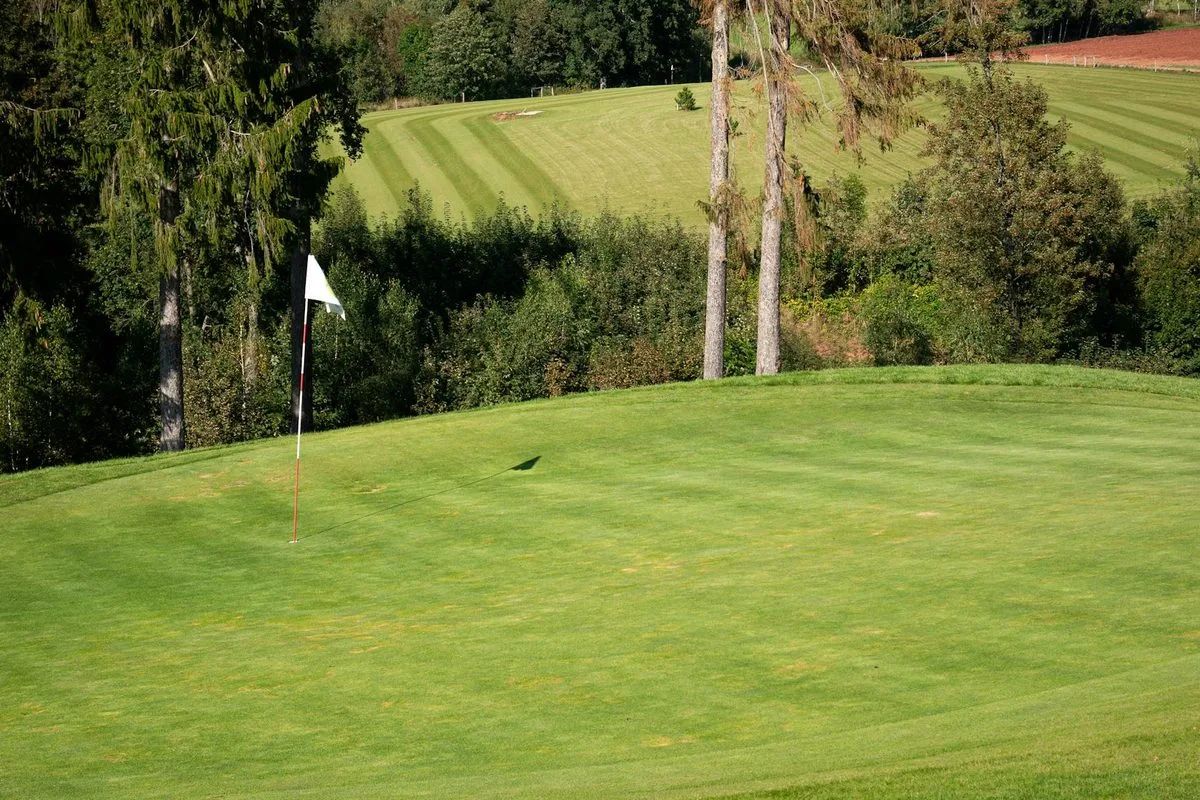 A group of business professionals on a golf course, relaxed and enjoying a sunny round