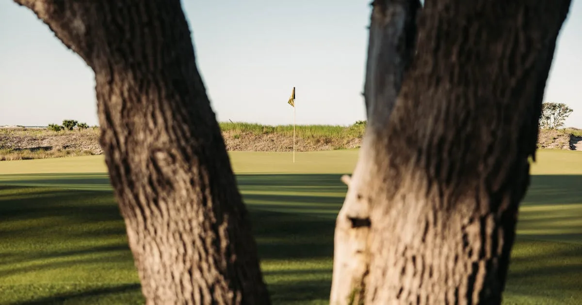 A beautifully maintained golf course with dramatic fairways and deep rough under a clear sky