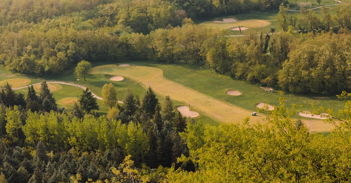 A tree-lined parkland golf fairway in England on a clear summer morning
