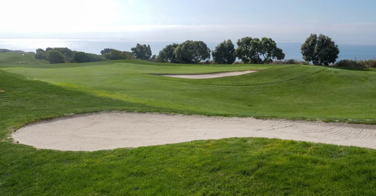 Brighton seafront with the Royal Pavilion and Palace Pier on a sunny day
