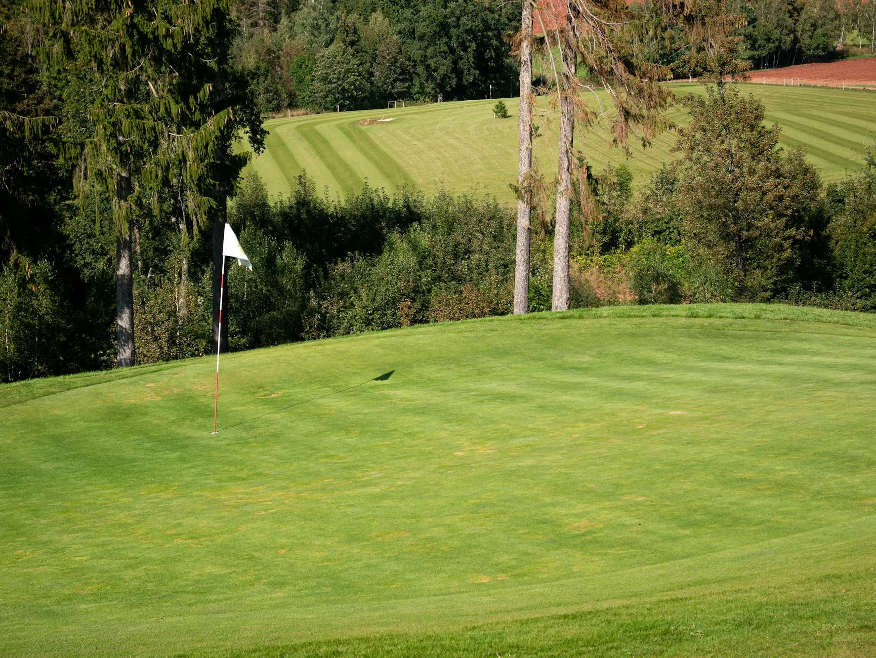A parkland golf course with mature trees and green fairways on a clear day