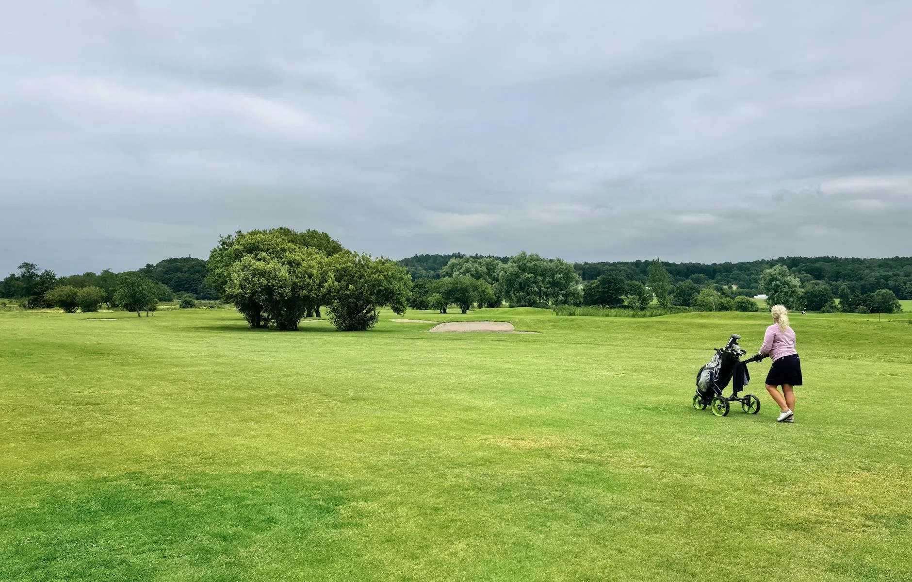 A well-maintained parkland golf course with lush fairways and trees