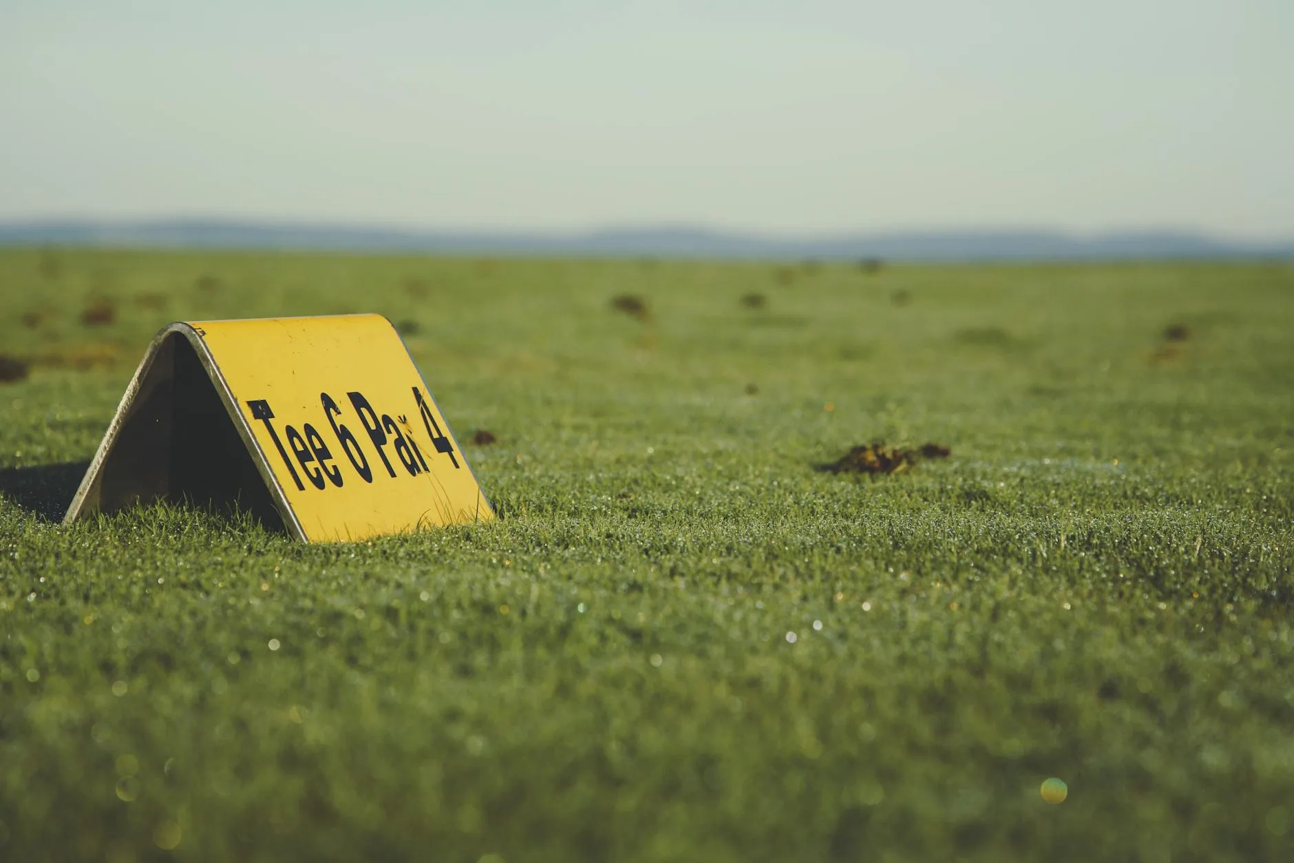 A golfer checking their scorecard at the edge of a fairway